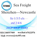 Shenzhen Port Seefracht Versand nach Newcastle